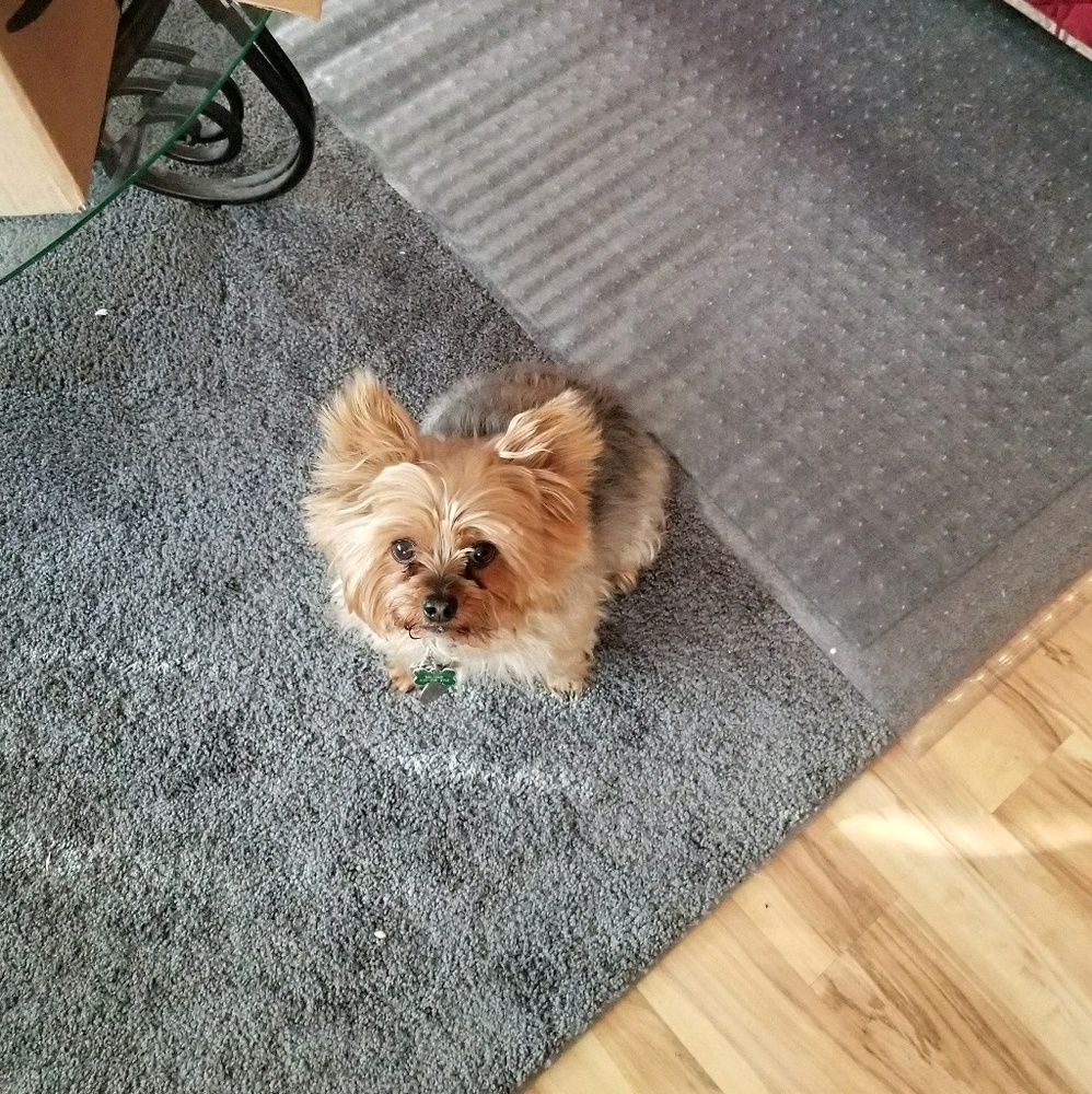 Meet your Posher, Margo